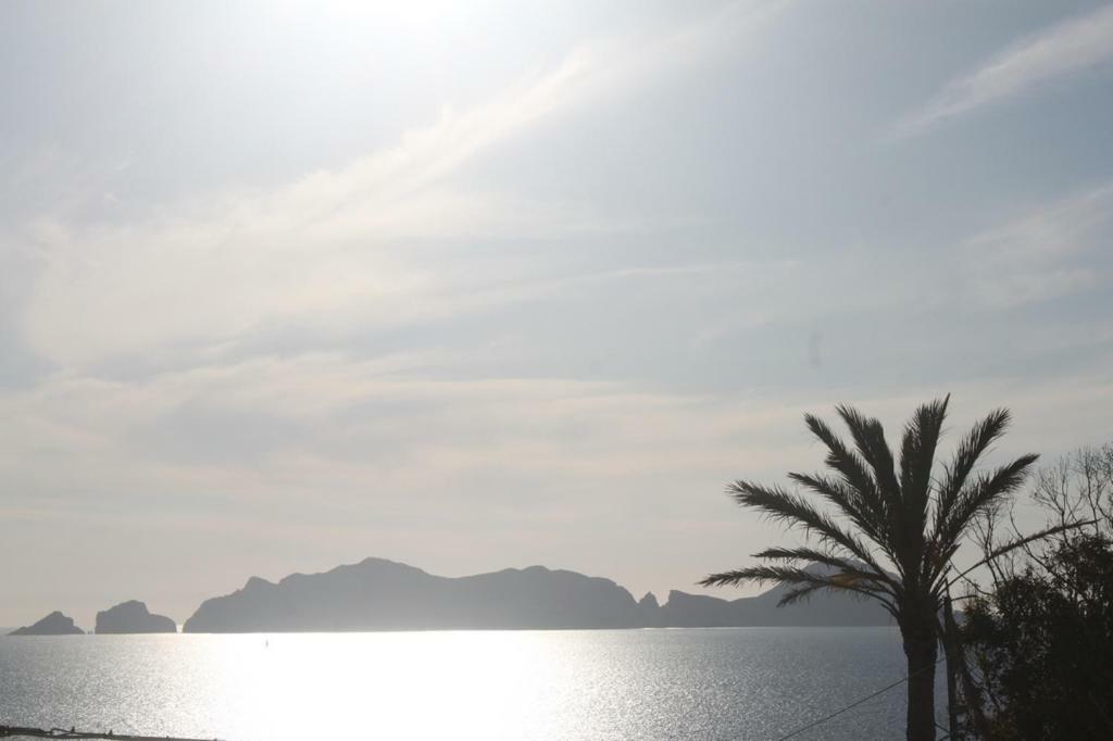Le Case Dei Pescatori - Residence Il Tramonto Ponza Exteriör bild